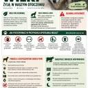 Ulotka informacyjna w sprawie występowania wilków oraz postępowania w przypadku ich spotkania