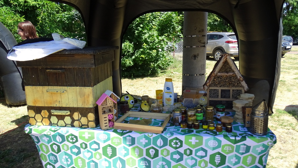Ekologiczny piknik rodzinny przy Publicznej Szkole Podstawowej w Myszyńcu