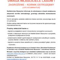 Informacja o nasileniu występowania kornika ostrozębnego
