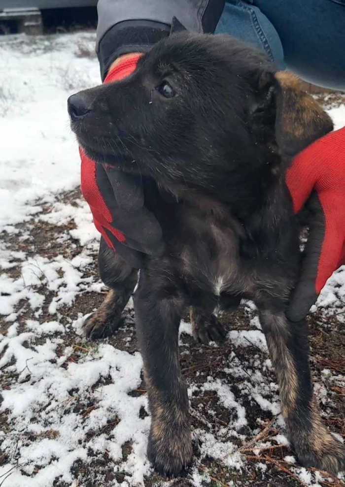 received_1506721156789893